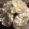 sonia_0909